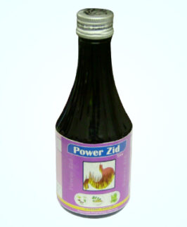 POWER ZID TONE (A herbal antacid)